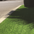 Synthetic grass MALO 25
